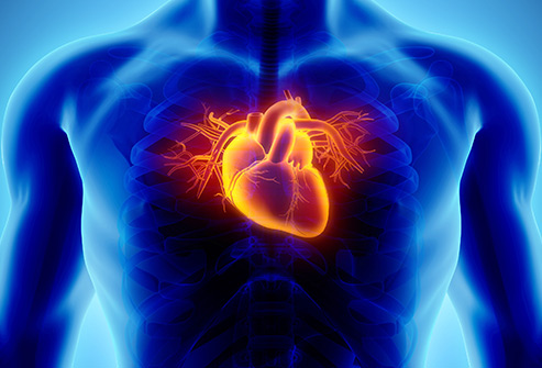 Heart Disease Causes and Risk Factors